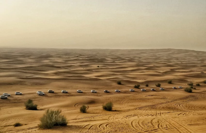 Day 4: The Desert Safari with BBQ Dinner