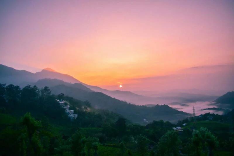 Day 3: Munnar to Thekkedy (85Km/2Hr 30Minutes)