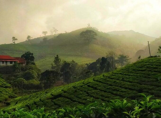 Munnar Kerala
