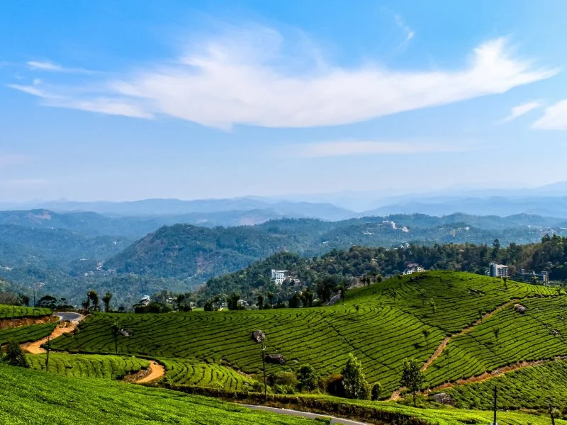 Munnar