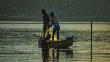 Poovar