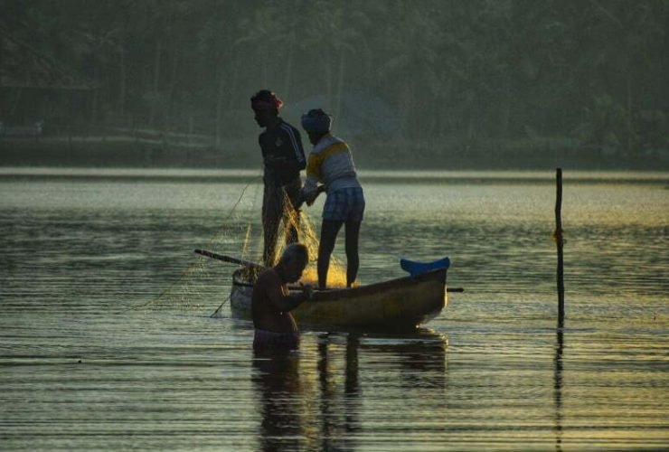 Poovar