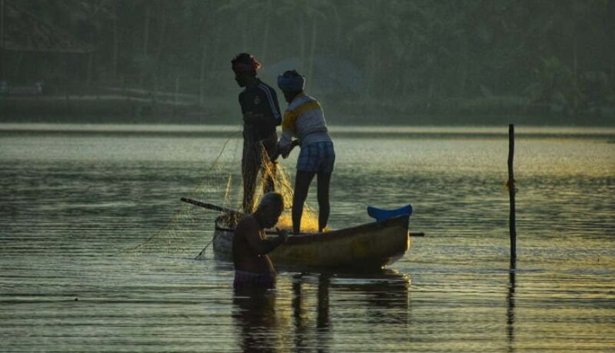 Poovar