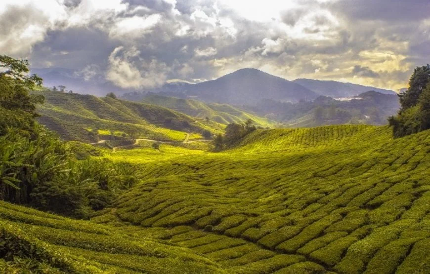 A Short Trip to Munnar – Kerala