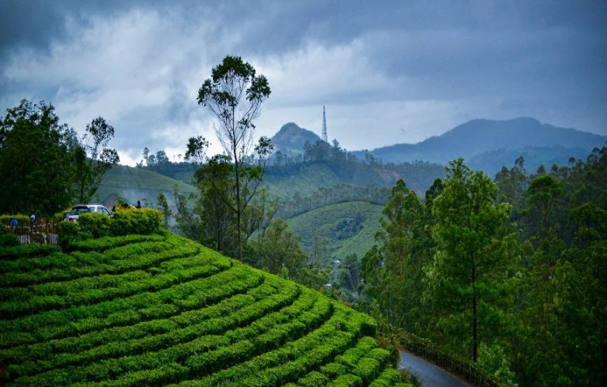 A Short Trip to Munnar – Kerala