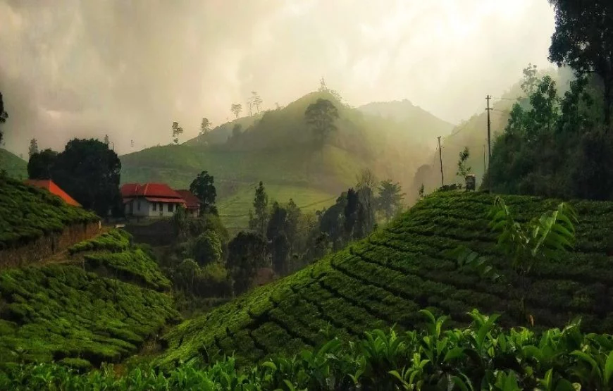 A Short Trip to Munnar – Kerala