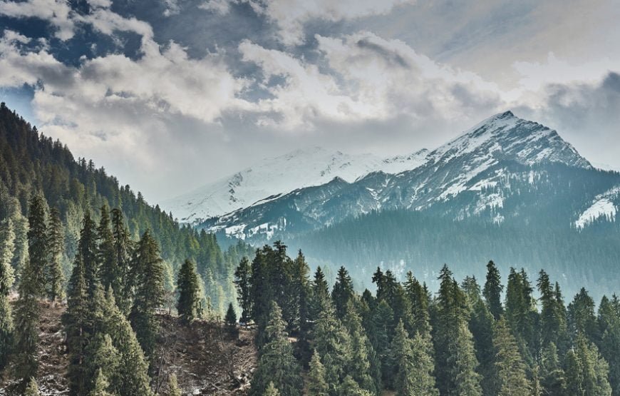 Shimla Manali Honeymoon Package